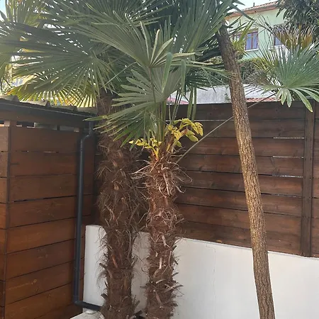Triplex Calme Avec Terrasse, Climatisation, Proche Et Commerces A - Fr-1-474-249 Arcachon